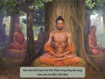 Câu chuyện về Đức Phật thiền định thành đạo dưới tán cây Bồ Đề