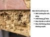 Nguyên nhân và cách xử lý hiệu quả bàn thờ bị mối mọt