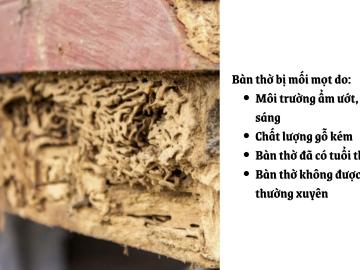 Nguyên nhân và cách xử lý hiệu quả bàn thờ bị mối mọt