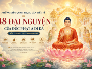 Những điều quan trọng cần biết về 48 đại nguyện của Đức Phật A Di Đà