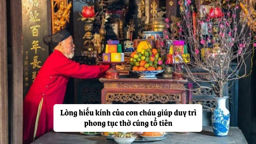 cung-gia-tien.jpg (430 KB)