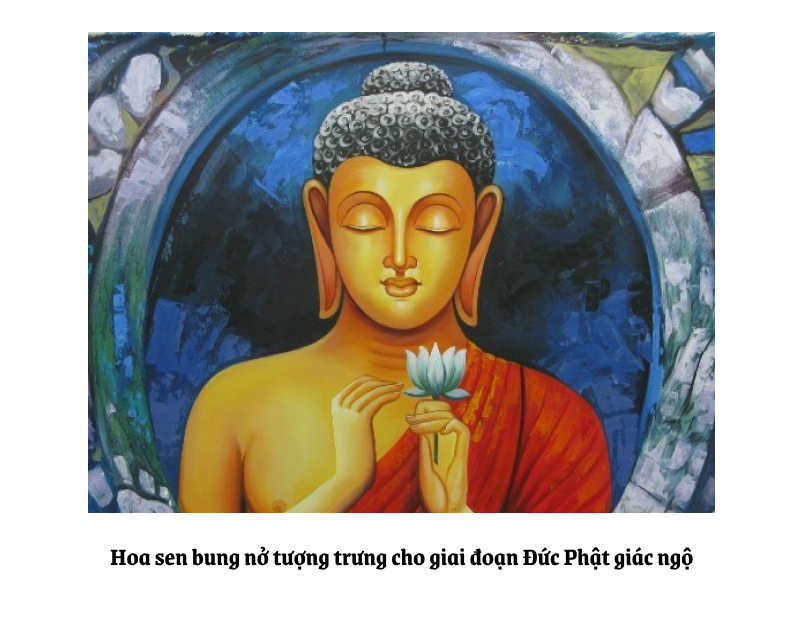 giai-doan-hoa-sen-duc-phat.jpg (324 KB)