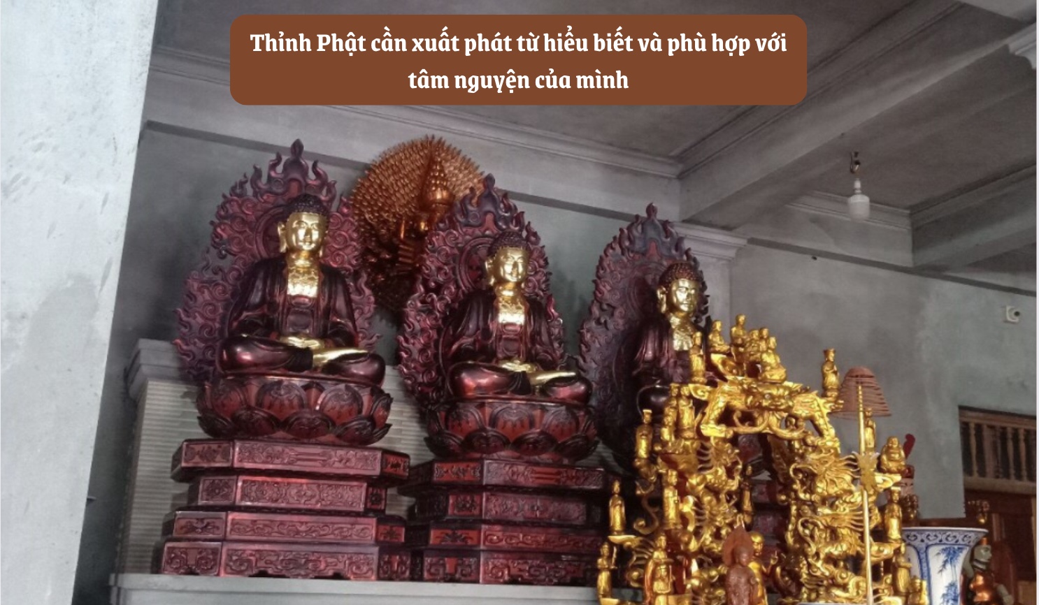 thinh-phat-voi-tam-nguyen.jpg (370 KB)