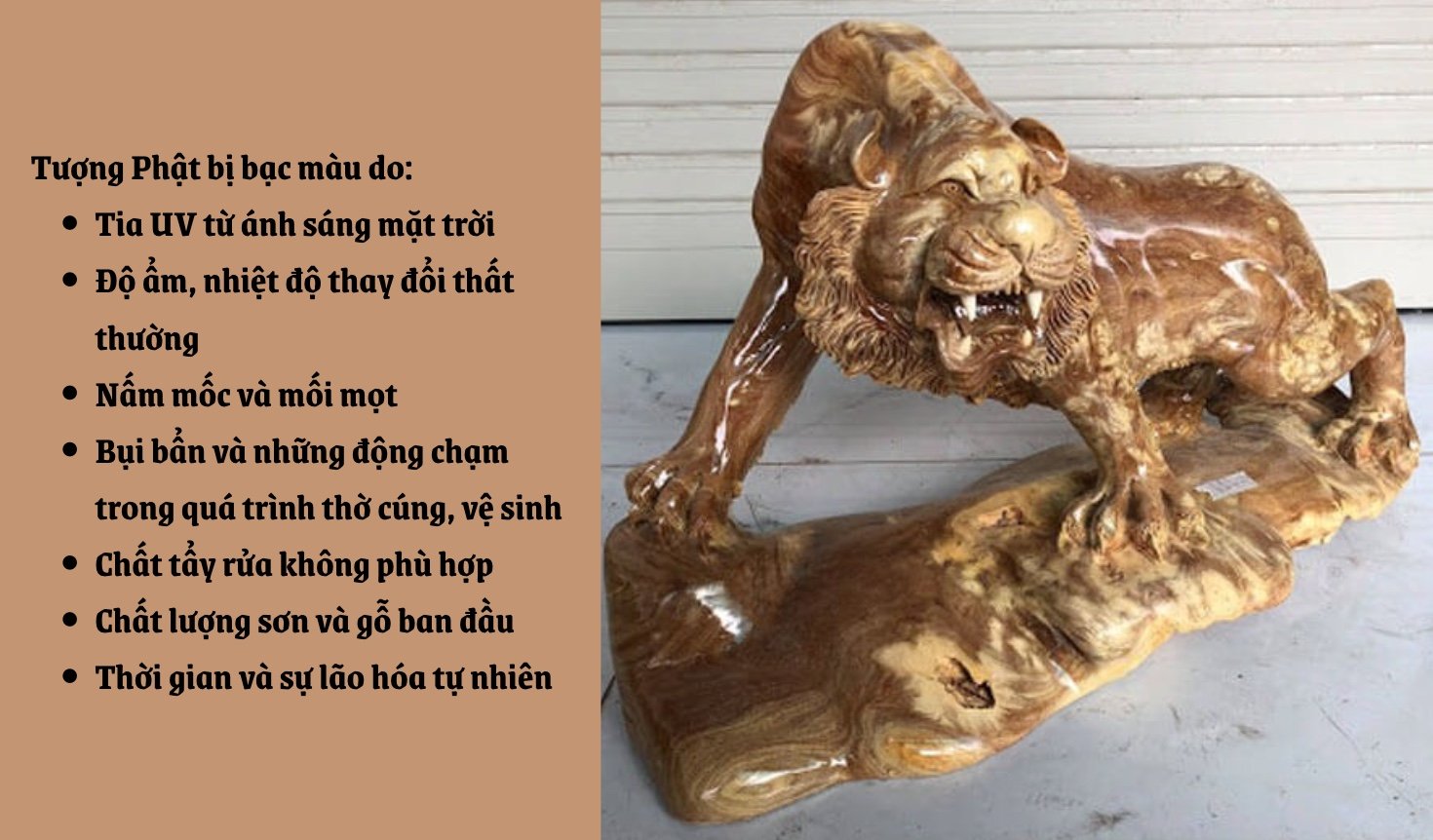 nguyen-nhan-tuong-go-bac-mau.jpg (316 KB)