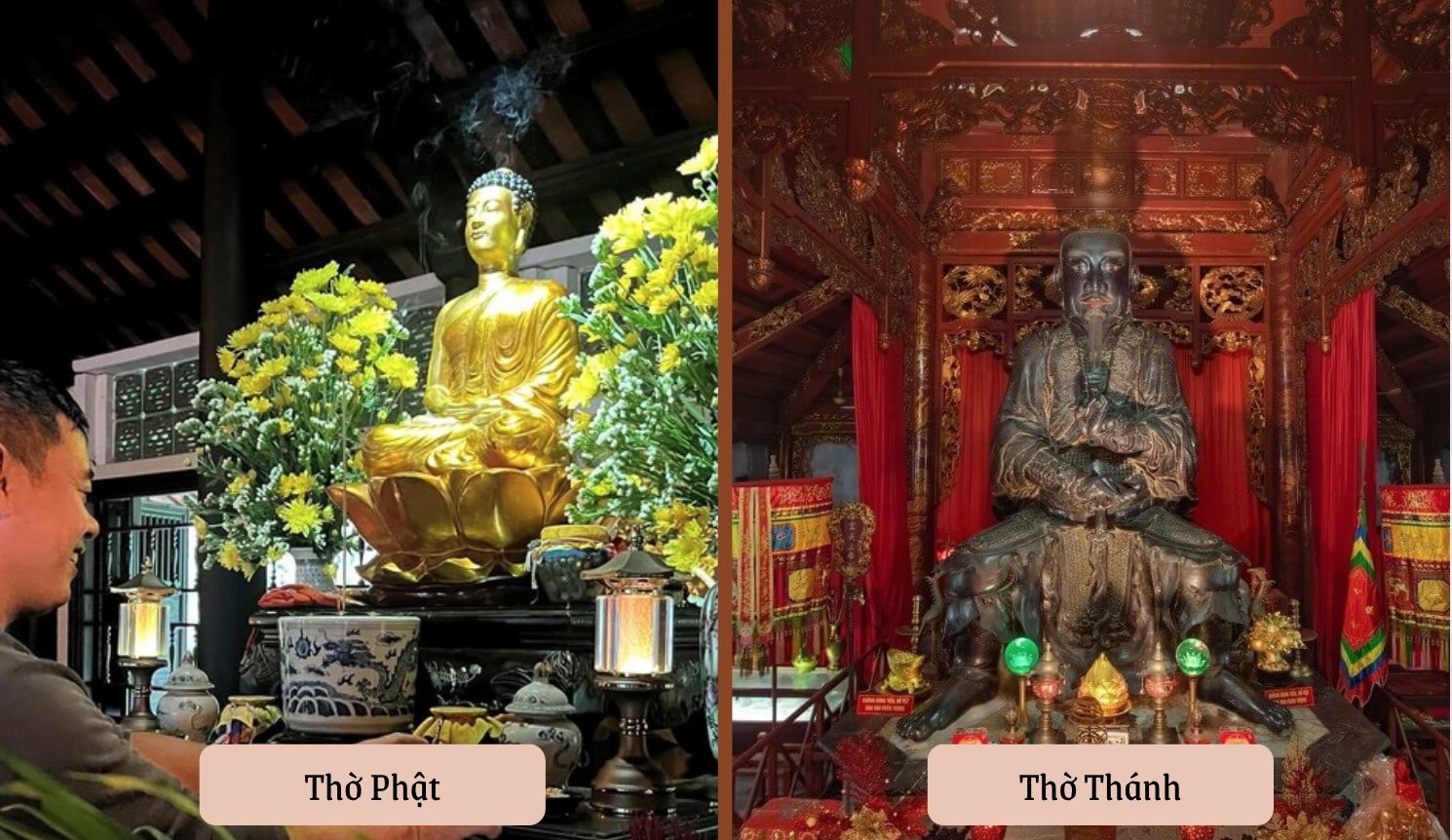 tho-phat-tho-thanh.jpg (497 KB)
